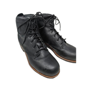 Redwing worx boot NWOT 10m